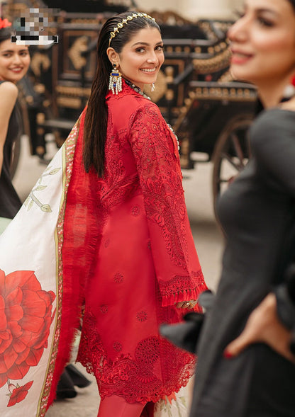 PURE COTTON COLLECTION - BIN NUREZA